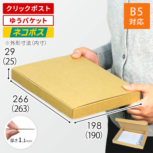 【ネコポス・クリックポスト・ゆうパケット】厚さ3cm・N式ケース(しっかりタイプ)