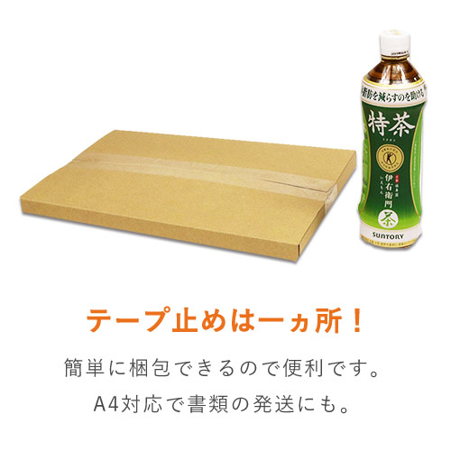 【クリックポスト・クロネコゆうメール】厚さ2cm・ヤッコ型ケース(しっかりタイプ)