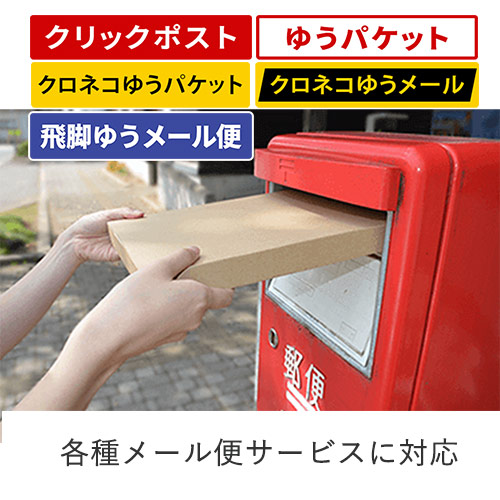 【クリックポスト・クロネコゆうメール】厚さ2cm・ヤッコ型ケース(しっかりタイプ)