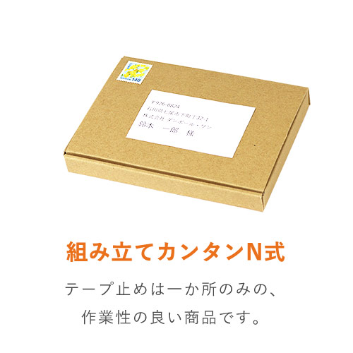 【定形外郵便】厚さ2cm・N式ケース(しっかりタイプ)