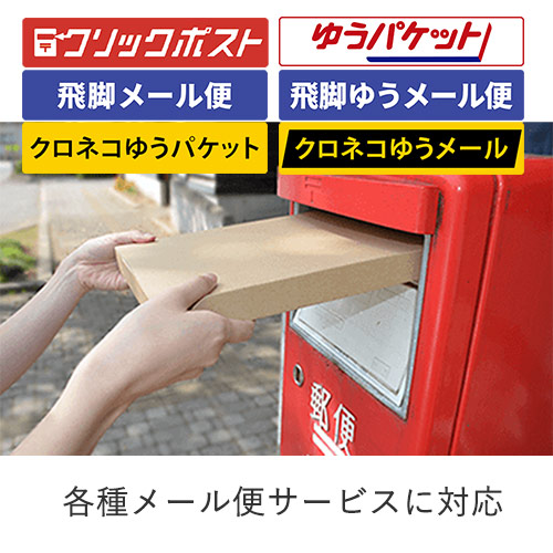 【クロネコゆうメール・ゆうパケット】厚さ2cm・テープレスケース(しっかりタイプ)