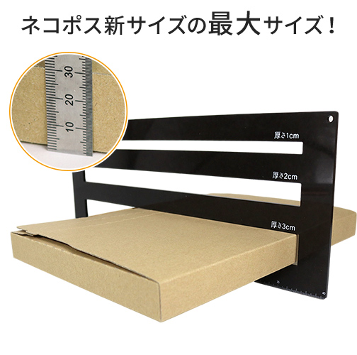 【ネコポス・クリックポスト】厚さ3cm・ジッパー付きケース(しっかりタイプ)