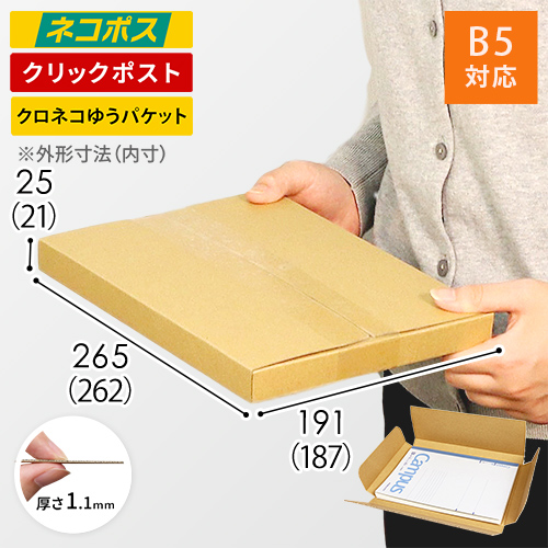 【ネコポス・クリックポスト】厚さ2.5cm・ヤッコ型ケース(しっかりタイプ)