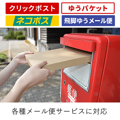 【ネコポス・クリックポスト】厚さ2.5cm・ヤッコ型ケース(しっかりタイプ)