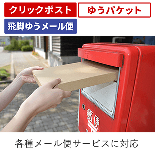 【クロネコゆうパケット・クリックポスト・ゆうパケット】厚さ3cm・テープレスケース(しっかりタイプ)