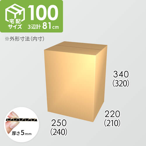 【宅配100サイズ】ダンボール箱(240×210×320) 5mm A/F K5×K5