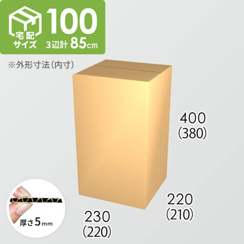 【宅配100サイズ】ダンボール箱(220×210×380) 5mm A/F K5×K5