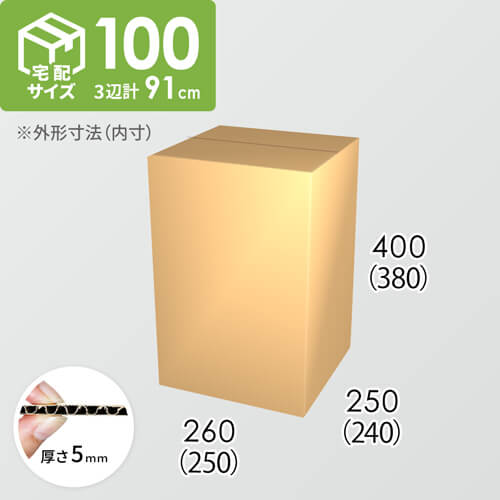 【宅配100サイズ】ダンボール箱(250×240×380) 5mm A/F K5×K5