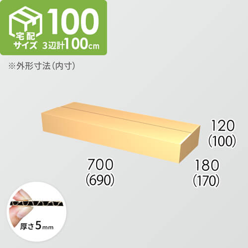 【宅配100サイズ】ダンボール箱(690×170×100) 5mm A/F K5×K5