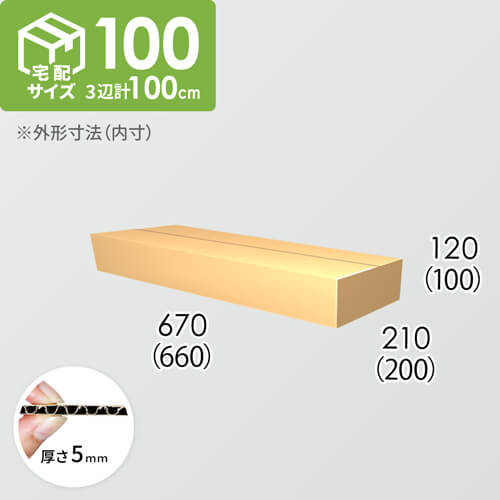 【宅配100サイズ】ダンボール箱(660×200×100) 5mm A/F K5×K5
