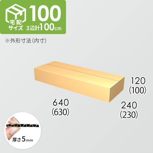 【宅配100サイズ】ダンボール箱(630×230×100) 5mm A/F K5×K5