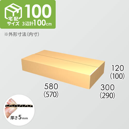 【宅配100サイズ】ダンボール箱(570×290×100) 5mm A/F K5×K5
