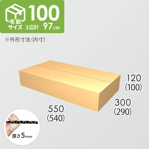 【宅配100サイズ】ダンボール箱(540×290×100) 5mm A/F K5×K5