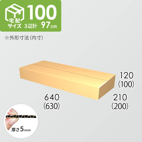 【宅配100サイズ】ダンボール箱(630×200×100) 5mm A/F K5×K5
