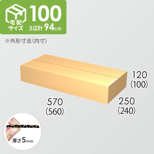 【宅配100サイズ】ダンボール箱(560×240×100) 5mm A/F K5×K5