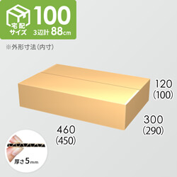 【宅配100サイズ】ダンボール箱(450×290×100) 5mm A/F K5×K5