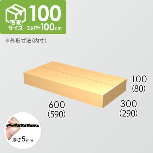 【宅配100サイズ】ダンボール箱(590×290×80) 5mm A/F K5×K5