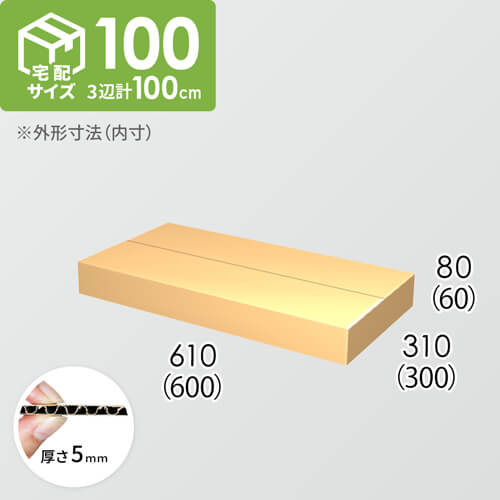 【宅配100サイズ】ダンボール箱(600×300×60) 5mm A/F K5×K5