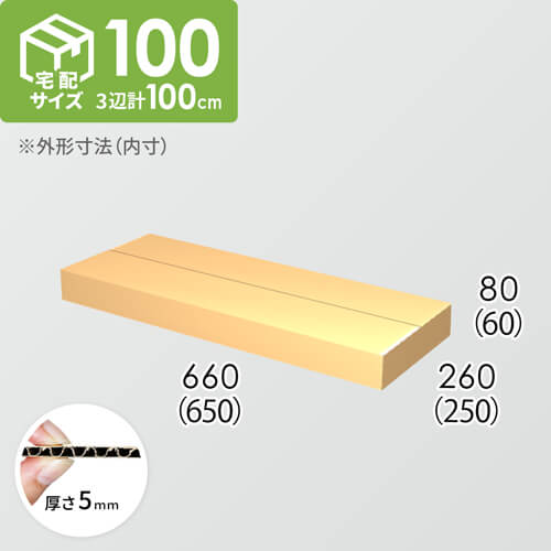 【宅配100サイズ】ダンボール箱(650×250×60) 5mm A/F K5×K5