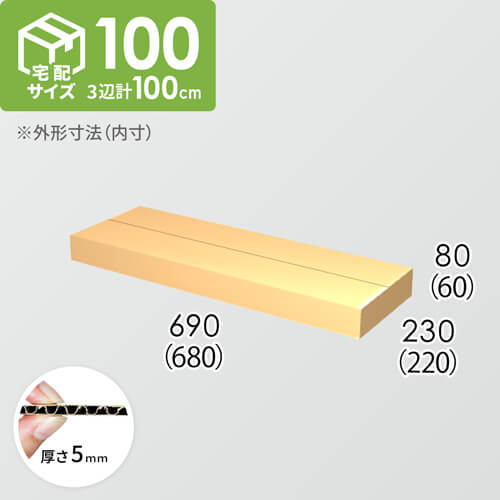 【宅配100サイズ】ダンボール箱(680×220×60) 5mm A/F K5×K5