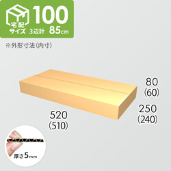 【宅配100サイズ】ダンボール箱(510×240×60) 5mm A/F K5×K5