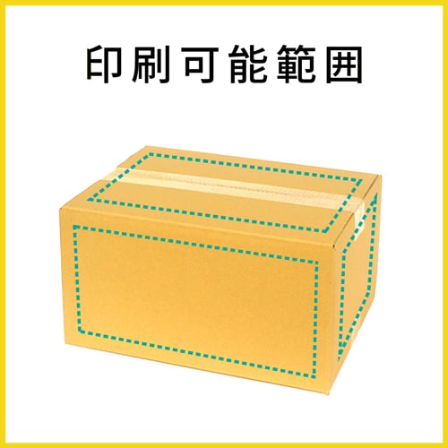 【名入れ印刷】宅配80サイズ 佐川エクスプレスBOX（Mサイズ）