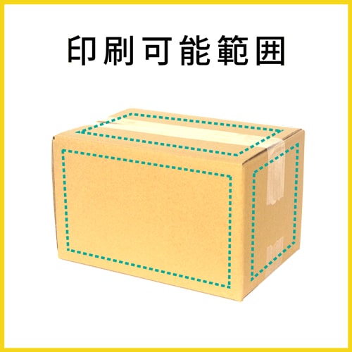 【名入れ印刷】宅配80サイズ ダンボール箱