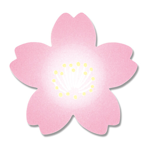 ギフトシール 紅桜 ６０片