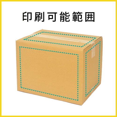 【名入れ印刷】宅配100サイズ ダンボール箱