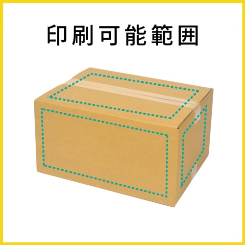 【名入れ印刷】宅配100サイズ ダンボール箱