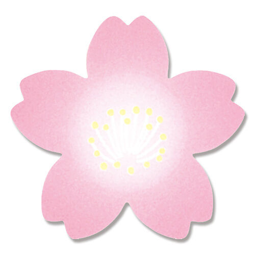 ロールシール 紅桜 ５００片