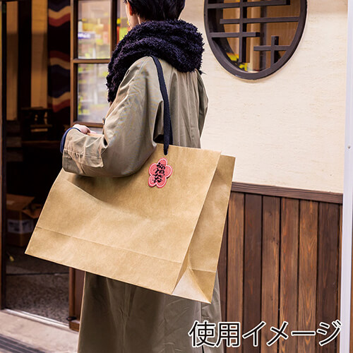 ファッションバッグ（茶・アクリル紐・幅600×マチ180×高さ420mm）