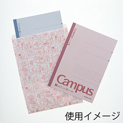 紙平袋（マイホーム・幅215×高290mm)