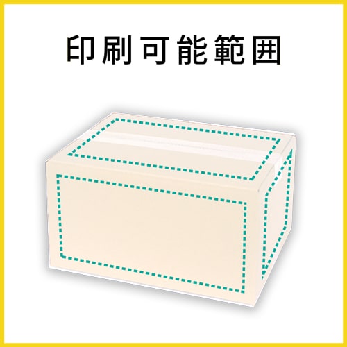 【名入れ印刷】宅配80サイズ 佐川エクスプレスBOX（白・Mサイズ）