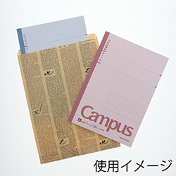 紙平袋（フェザーイニシャル・幅215×高290mm)
