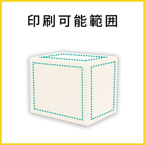 【名入れ印刷】宅配80サイズ 佐川エクスプレスBOX（白・A4サイズ）