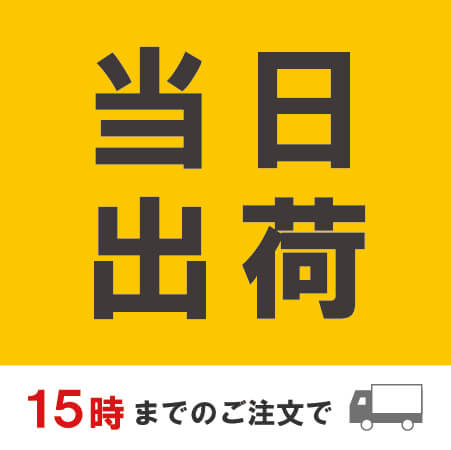 【クリックポスト・クロネコゆうメール】厚さ2cm・ヤッコ型ケース（A4サイズ）