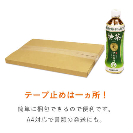 【クリックポスト・クロネコゆうメール】厚さ2cm・ヤッコ型ケース（A4サイズ）