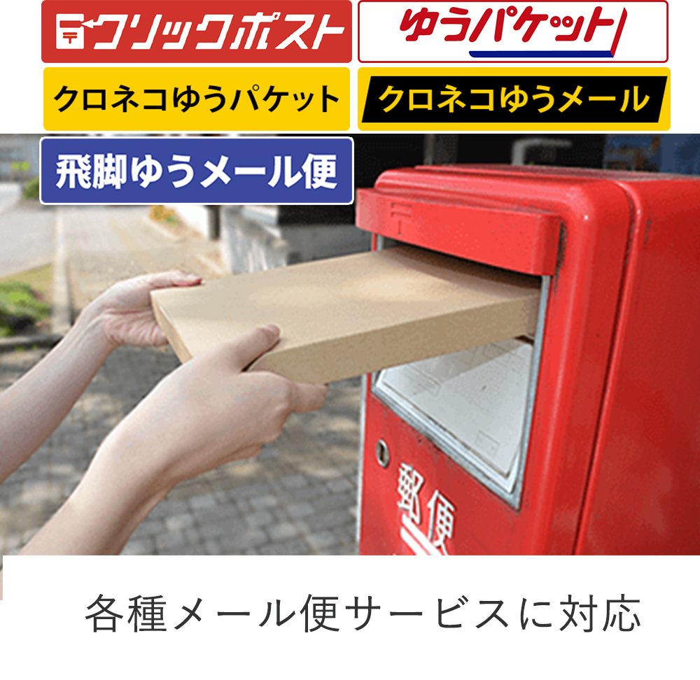【クリックポスト・クロネコゆうメール】厚さ2cm・ヤッコ型ケース（A4サイズ）