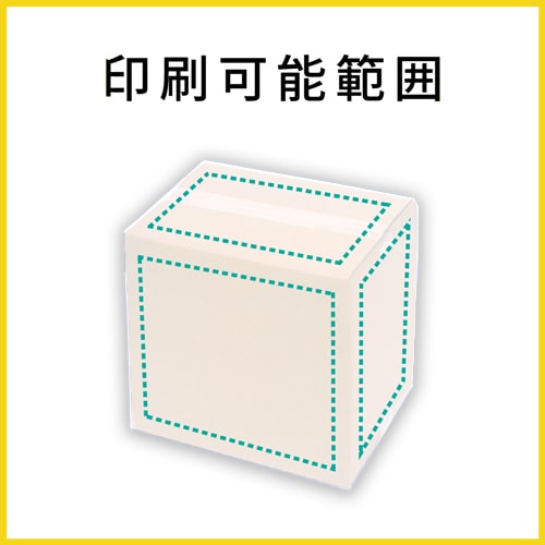 【名入れ印刷】宅配100サイズ ダンボール箱（白・B4サイズ）