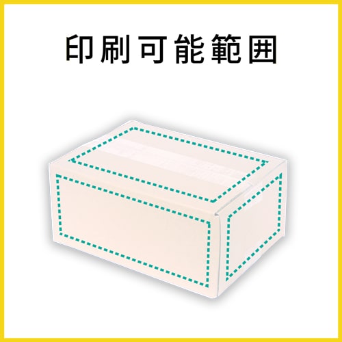 【名入れ印刷】宅配60サイズ 佐川エクスプレスBOX（白・B5サイズ）