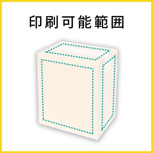 【名入れ印刷】宅配80サイズ ダンボール箱（白・B5サイズ）
