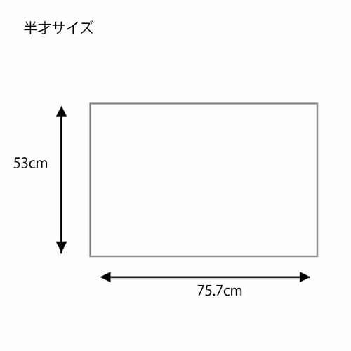 包装紙 半才特厚 プリエール Ｂ