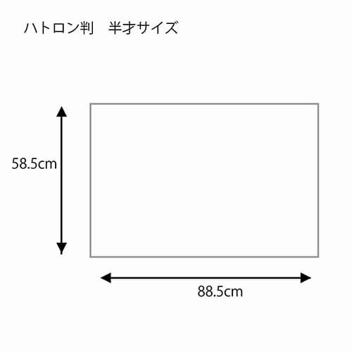 包装紙 ハトロン判 半才 ハーブフラワー Ｒ