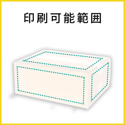 【名入れ印刷】宅配80サイズ ダンボール箱（白・A4サイズ）