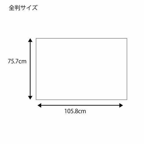 包装紙 全判 花づくし