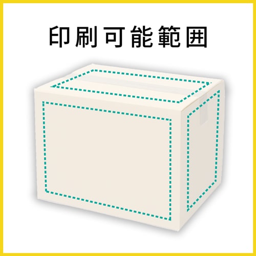 【名入れ印刷】宅配100サイズ ダンボール箱（白）