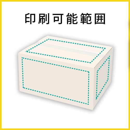 【名入れ印刷】宅配100サイズ ダンボール箱（白）