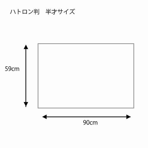 包装紙 Ｈ判半才特厚 シルバーアント