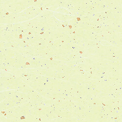 和紙 雲龍紙金銀振 草